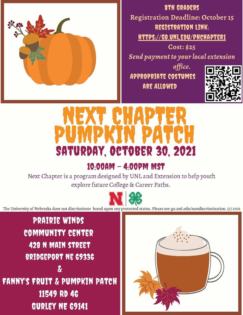 Next Chapter Pumpkin Patch 1