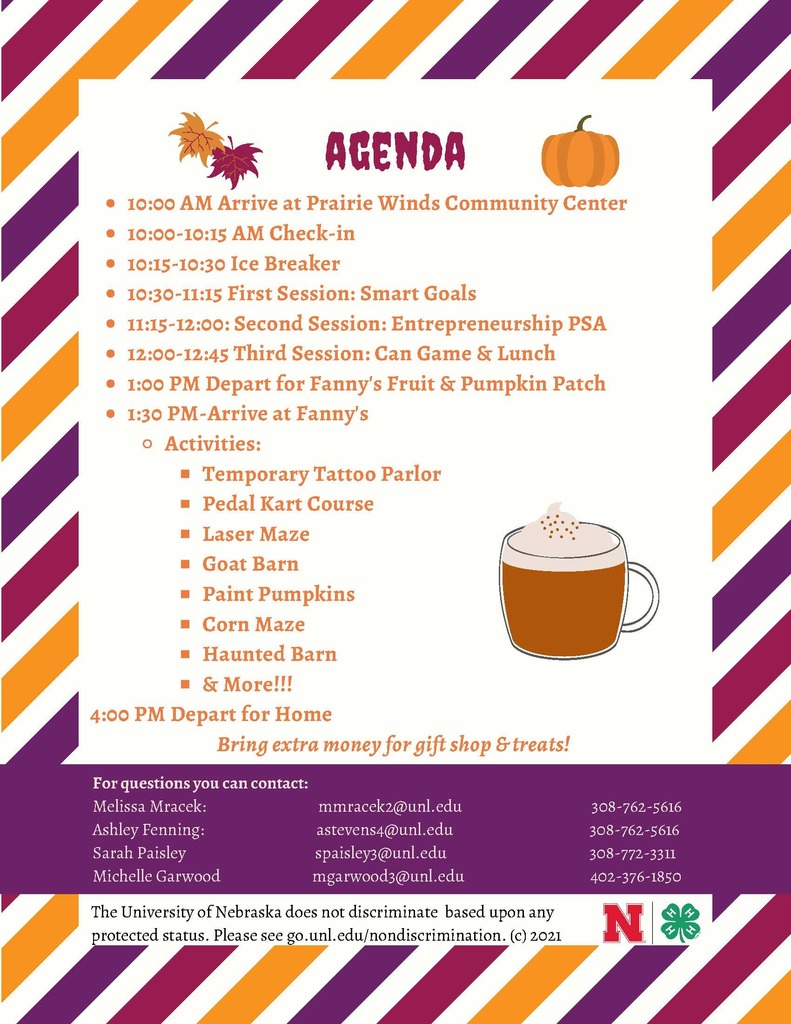 Next Chapter Pumpkin Patch 2
